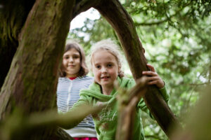 Fun in the woods at Dunfield House
