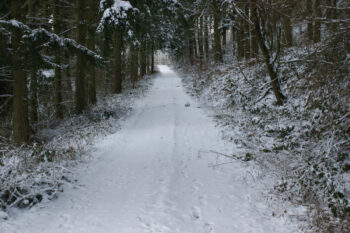 Snow covered path at Dunfield House