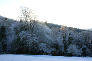 Snowy day at grounds around Dunfield House