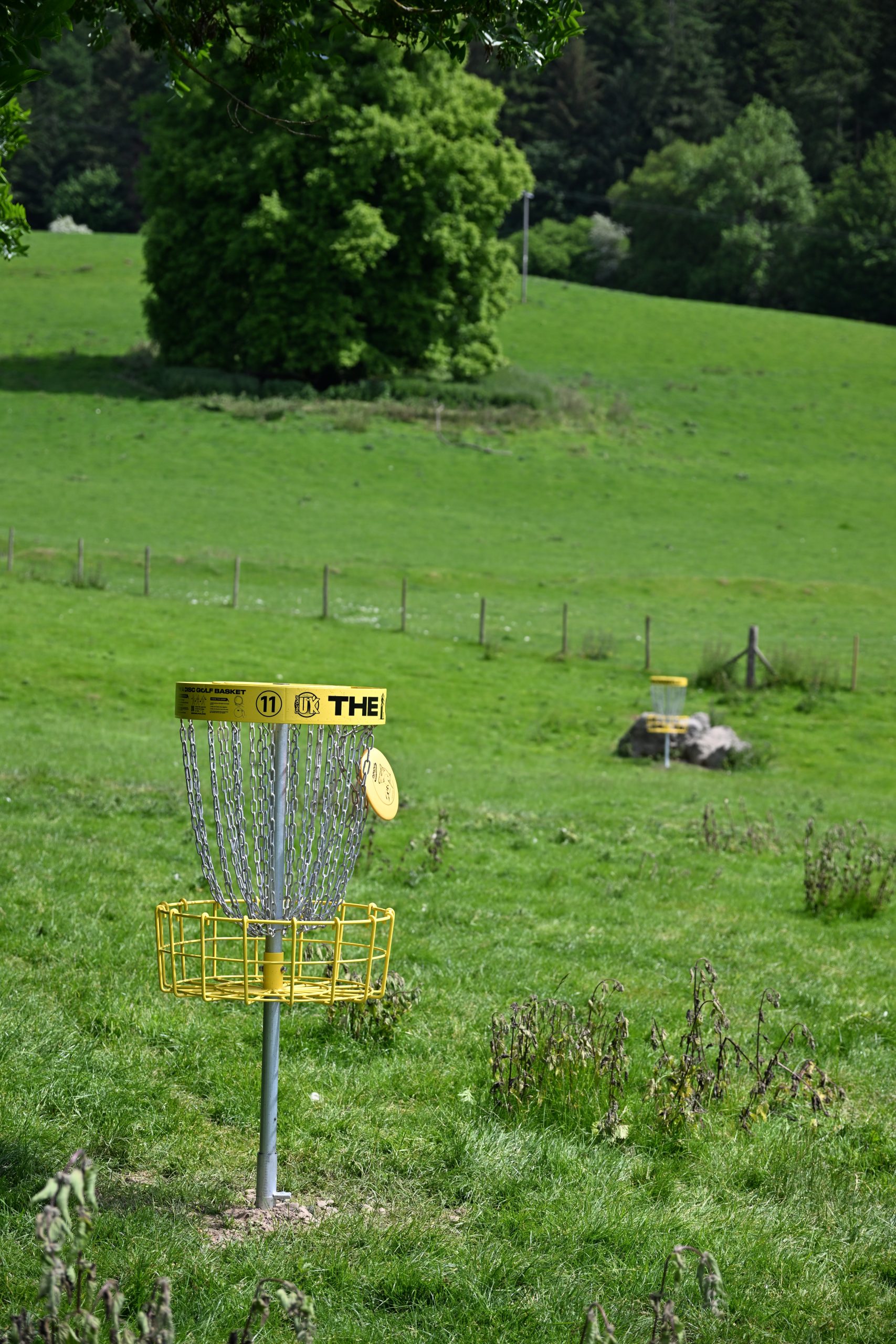 Disc Golf basket